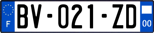 BV-021-ZD