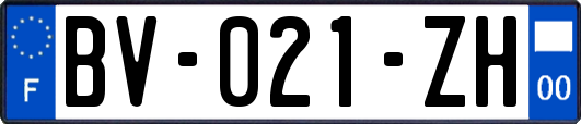 BV-021-ZH