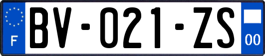 BV-021-ZS