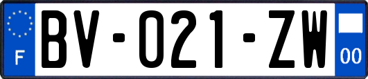 BV-021-ZW