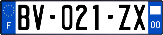 BV-021-ZX