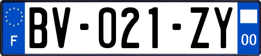 BV-021-ZY