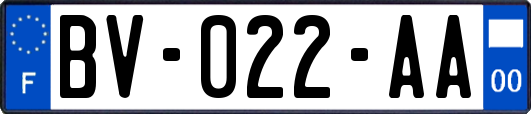 BV-022-AA