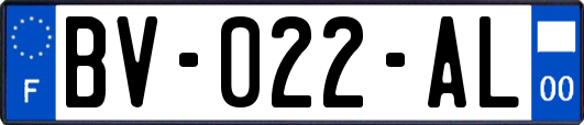 BV-022-AL