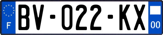 BV-022-KX