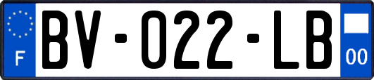 BV-022-LB