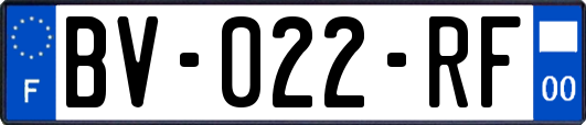 BV-022-RF