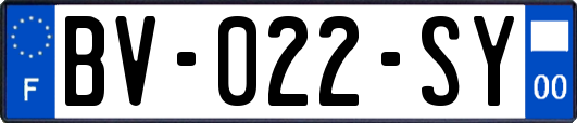 BV-022-SY