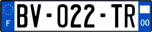 BV-022-TR