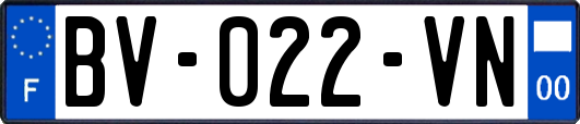 BV-022-VN