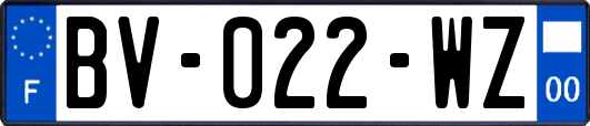 BV-022-WZ