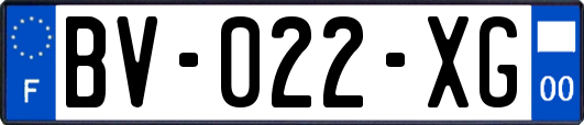 BV-022-XG
