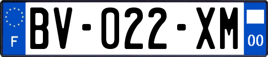 BV-022-XM