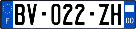 BV-022-ZH