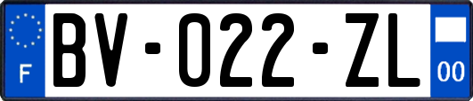 BV-022-ZL