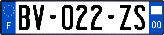 BV-022-ZS