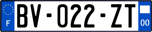 BV-022-ZT