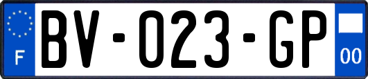 BV-023-GP
