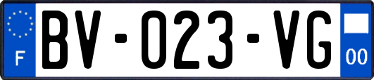 BV-023-VG