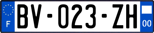 BV-023-ZH