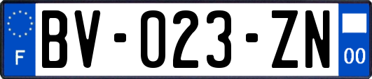 BV-023-ZN