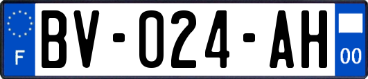 BV-024-AH