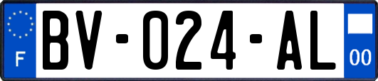 BV-024-AL