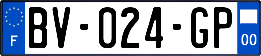 BV-024-GP