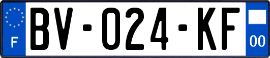 BV-024-KF