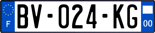 BV-024-KG