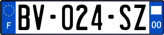 BV-024-SZ