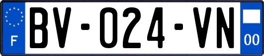 BV-024-VN