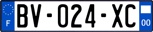 BV-024-XC