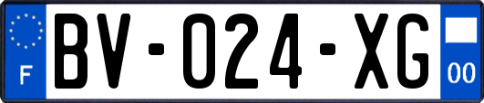 BV-024-XG