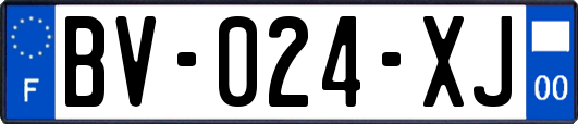 BV-024-XJ