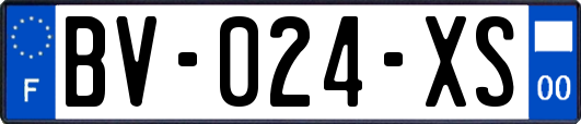 BV-024-XS