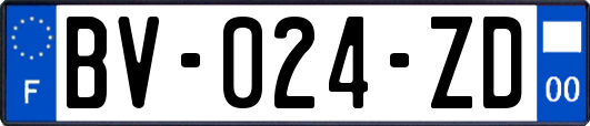 BV-024-ZD