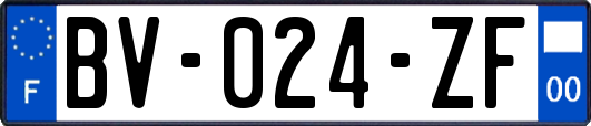 BV-024-ZF