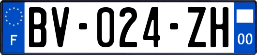 BV-024-ZH