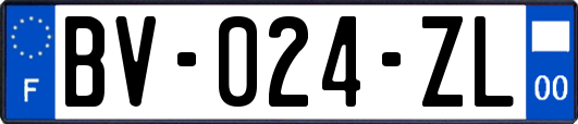 BV-024-ZL