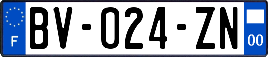 BV-024-ZN