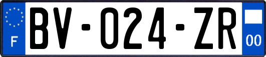 BV-024-ZR