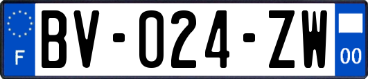 BV-024-ZW