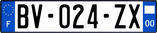 BV-024-ZX