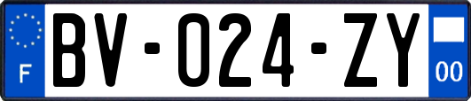 BV-024-ZY