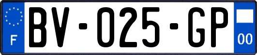 BV-025-GP