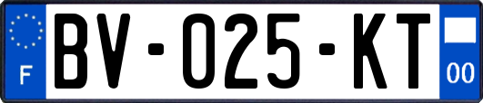 BV-025-KT