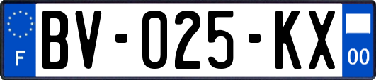BV-025-KX