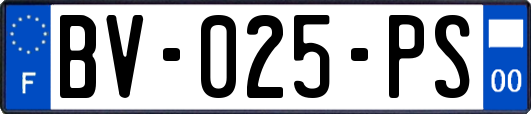 BV-025-PS