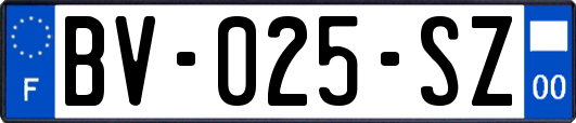 BV-025-SZ